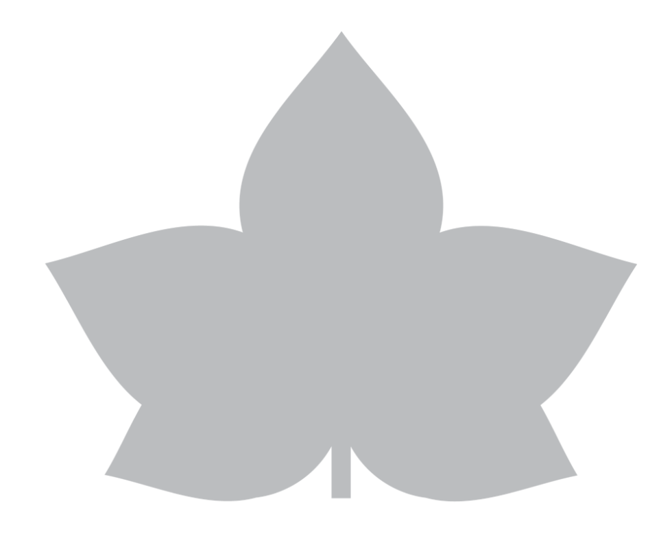 board-members-ivy-school
